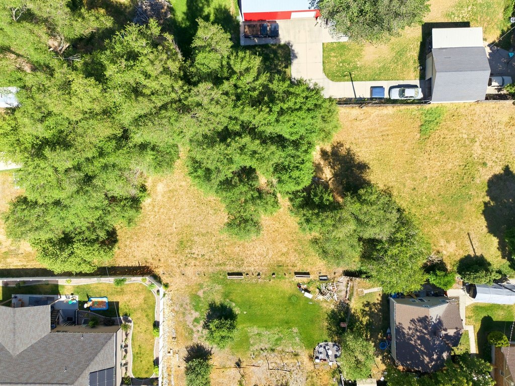 Picture 31