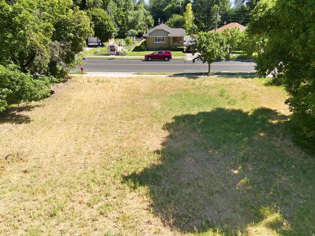 Picture 9