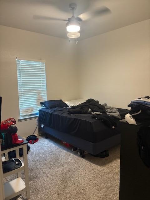 Picture 33