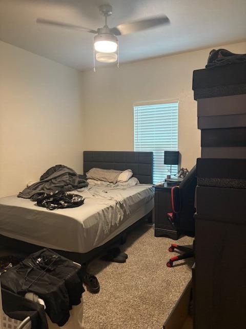 Picture 32