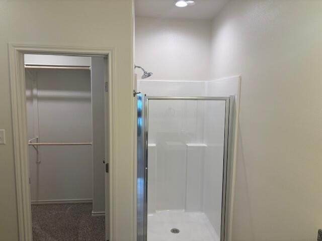 Picture 28