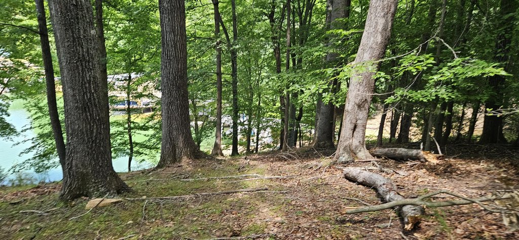 Picture 17