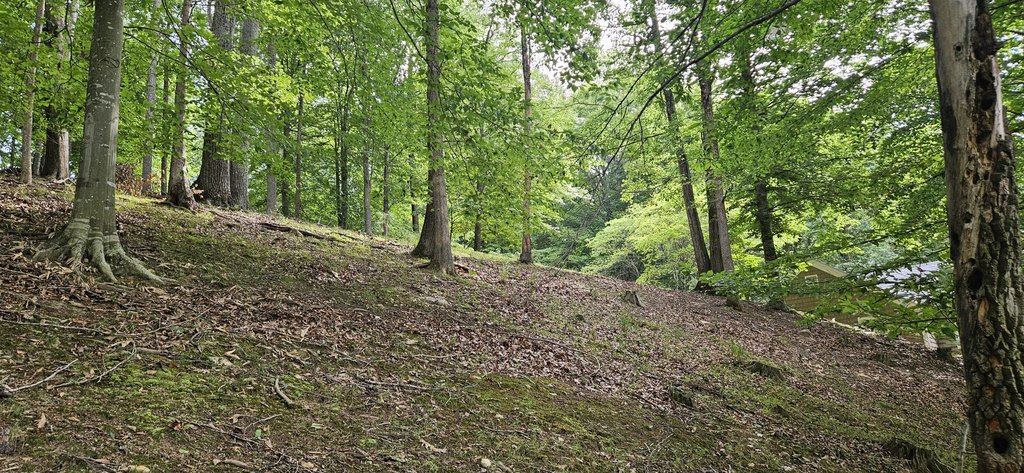 Picture 41