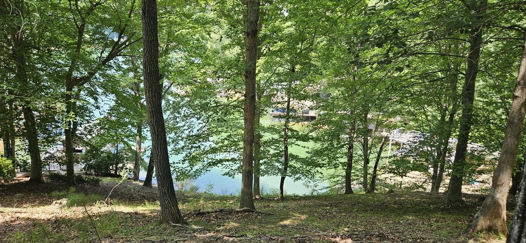 Picture 21