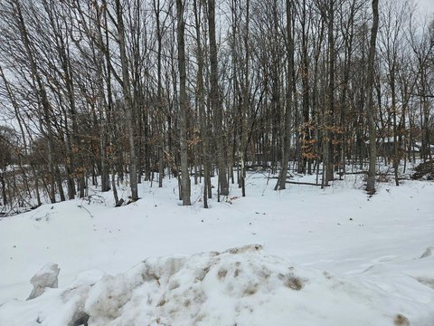 Residential Lot in Saint Stephen