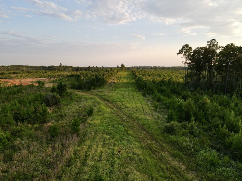 Picture 44