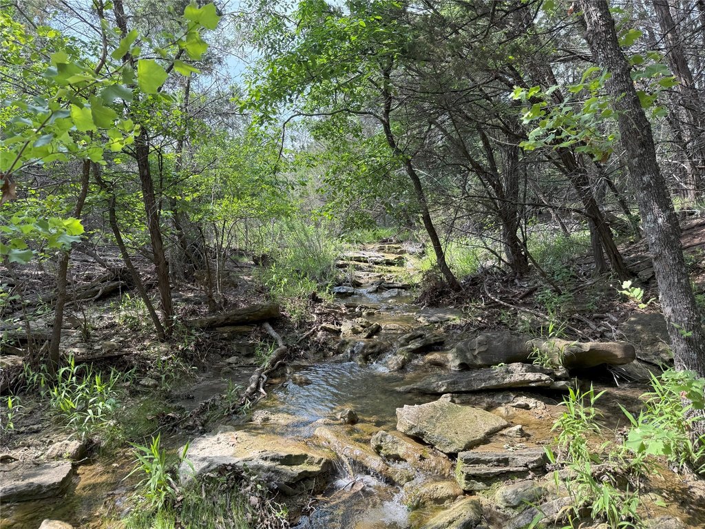Picture 16