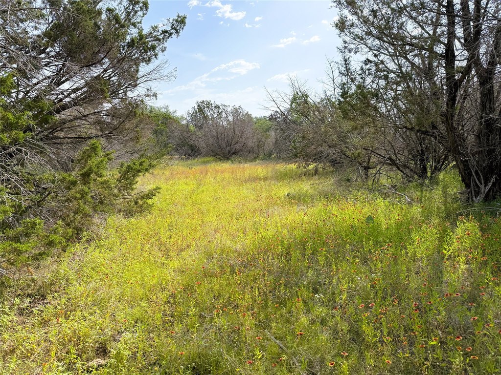 Picture 11