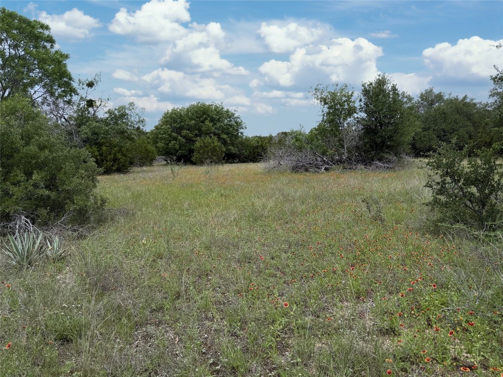 Picture 24