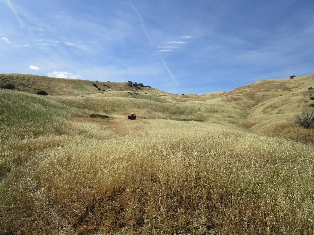 Picture 14