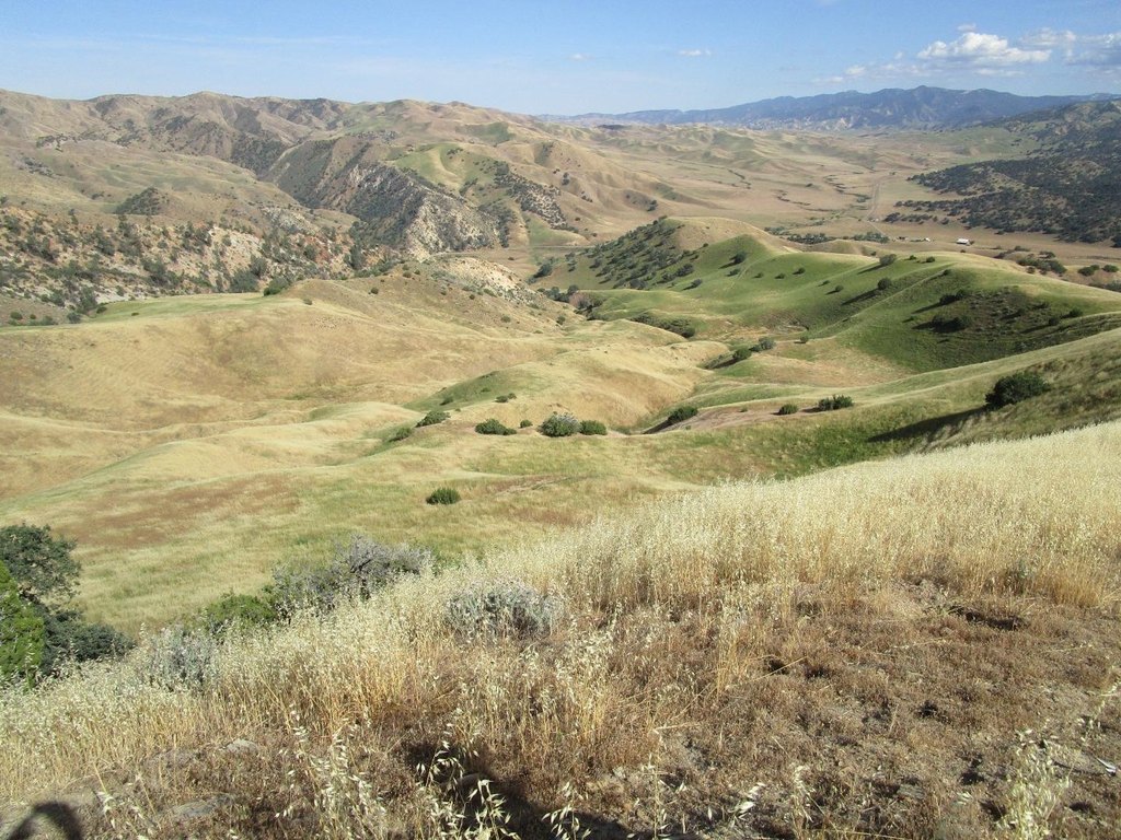 Picture 19