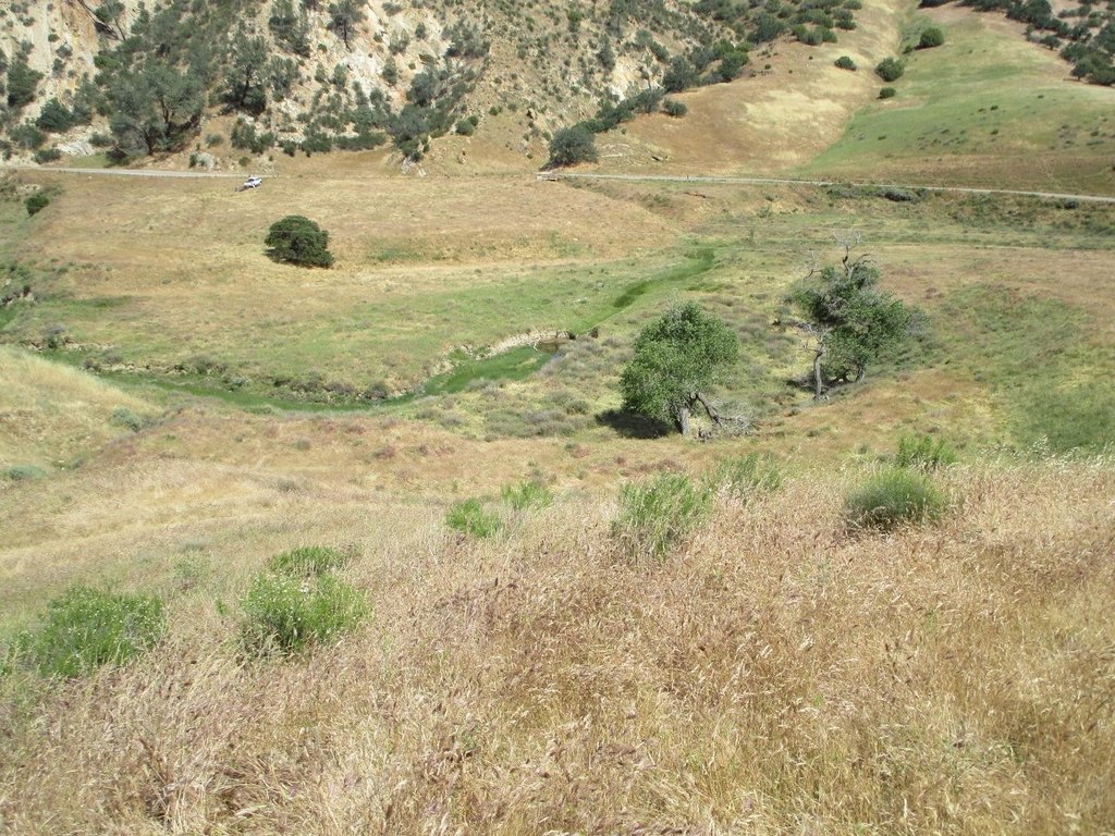 Picture 8
