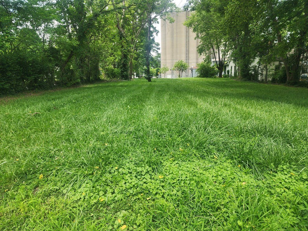 Picture 2