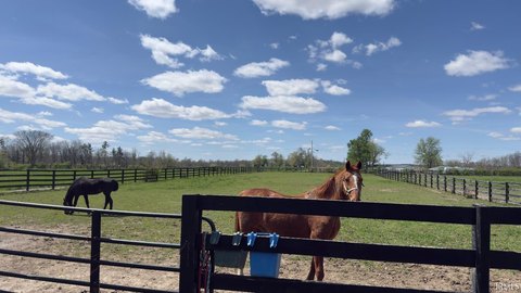 Prime Residential Land Opportunity