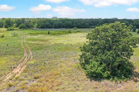 Hunting Land with Cleared Field