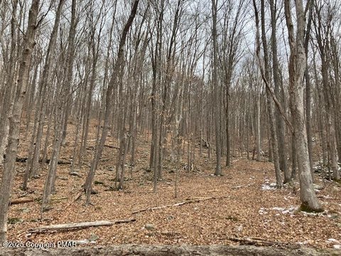 97 Acres Wooded Land Parcel
