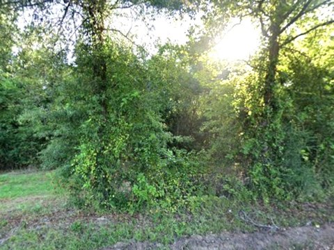 Land, Carthage, TX