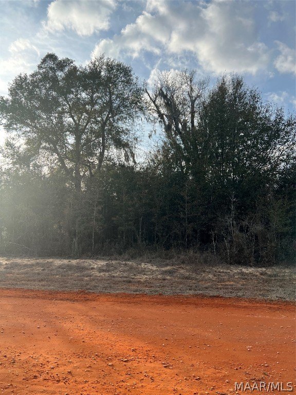 Land in Miller's Ferry Area