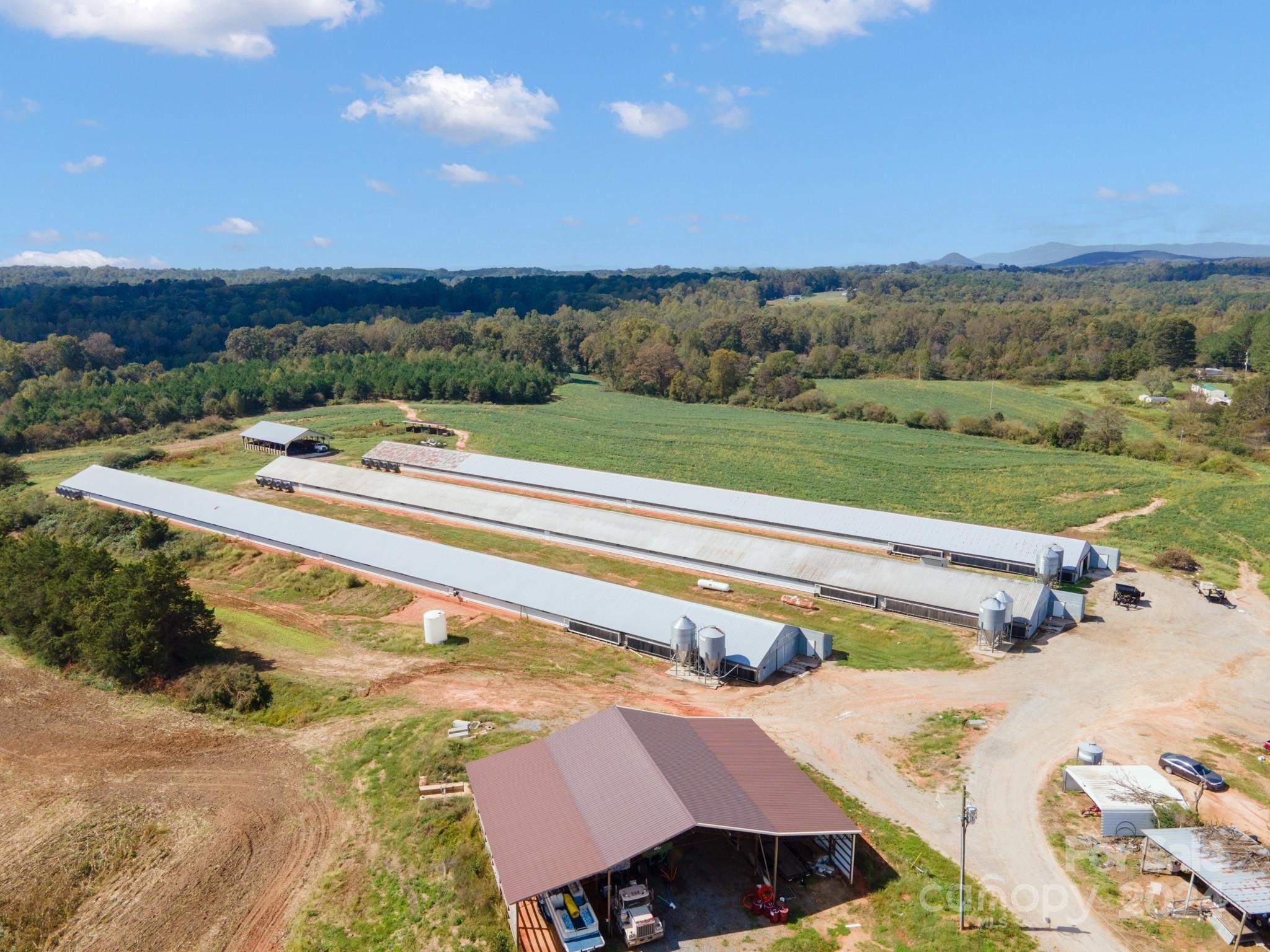 74 Acres Farmland with Income