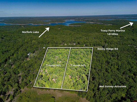 Wooded Land Near Norfork Lake