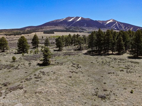 Flagstaff Land Near National Forest