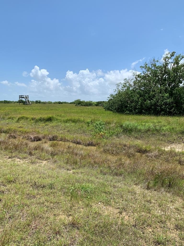 Three Acres in Cape Shores