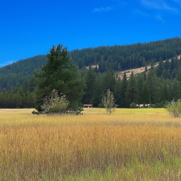 Kettle Falls Acreage Near River