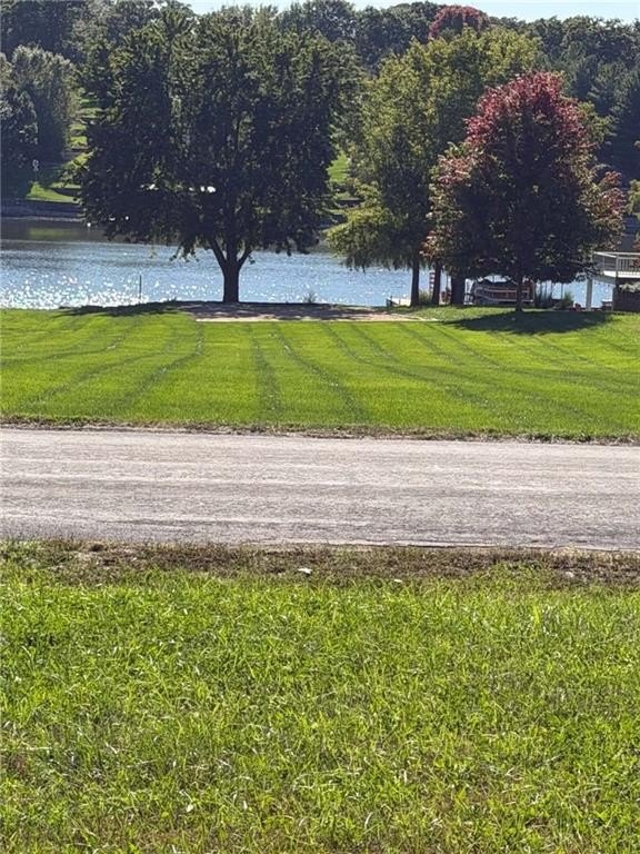 Picture 2