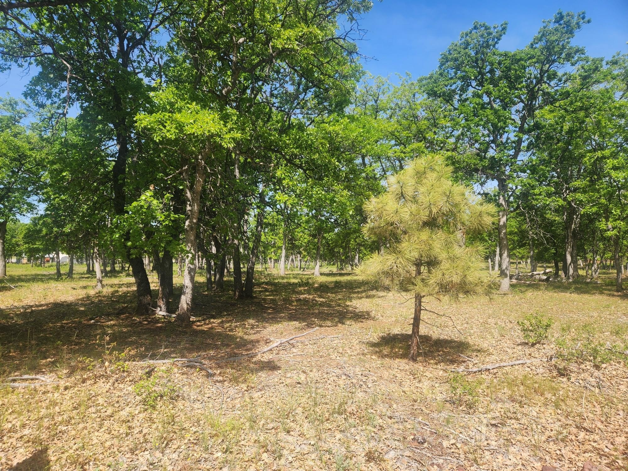 Land in Oak Wood Estates