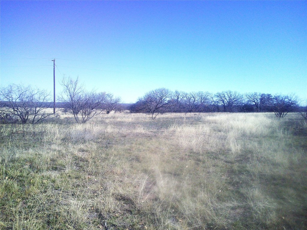 Picture 7