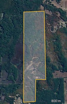 140+ Acre Land in Holland