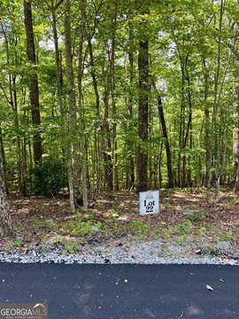 Land, Blue Ridge, GA
