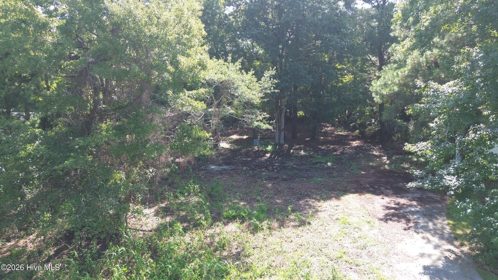 Picture 18
