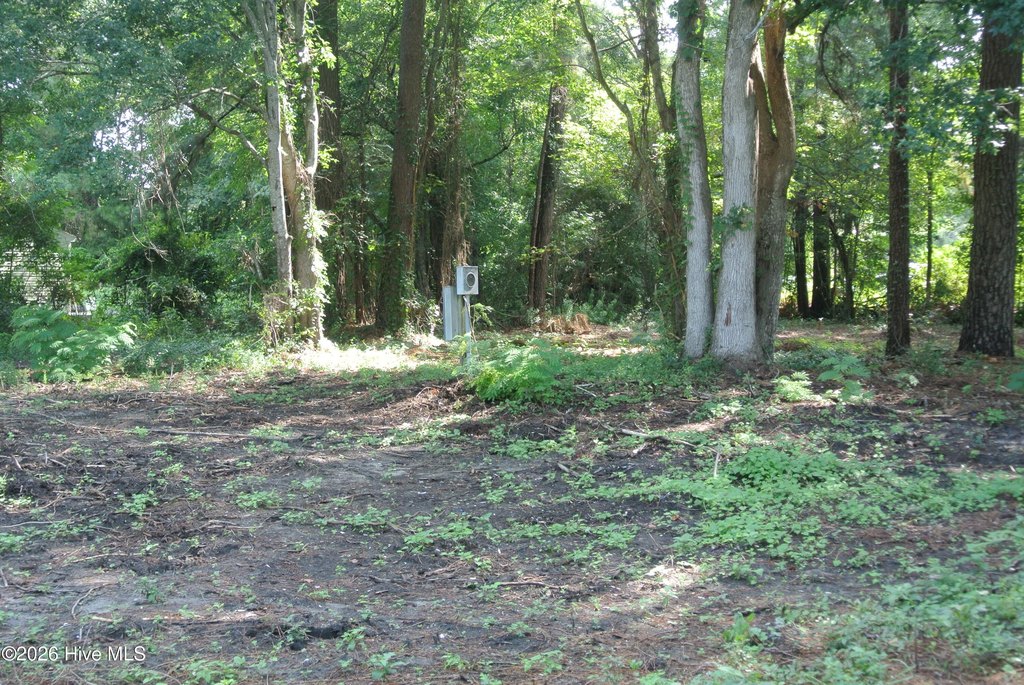 Picture 15