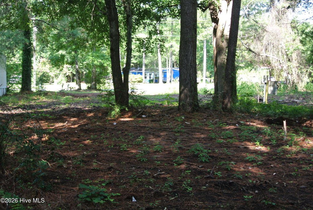 Picture 11