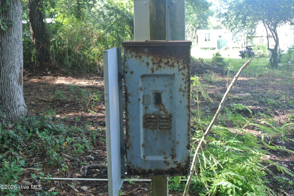 Picture 21