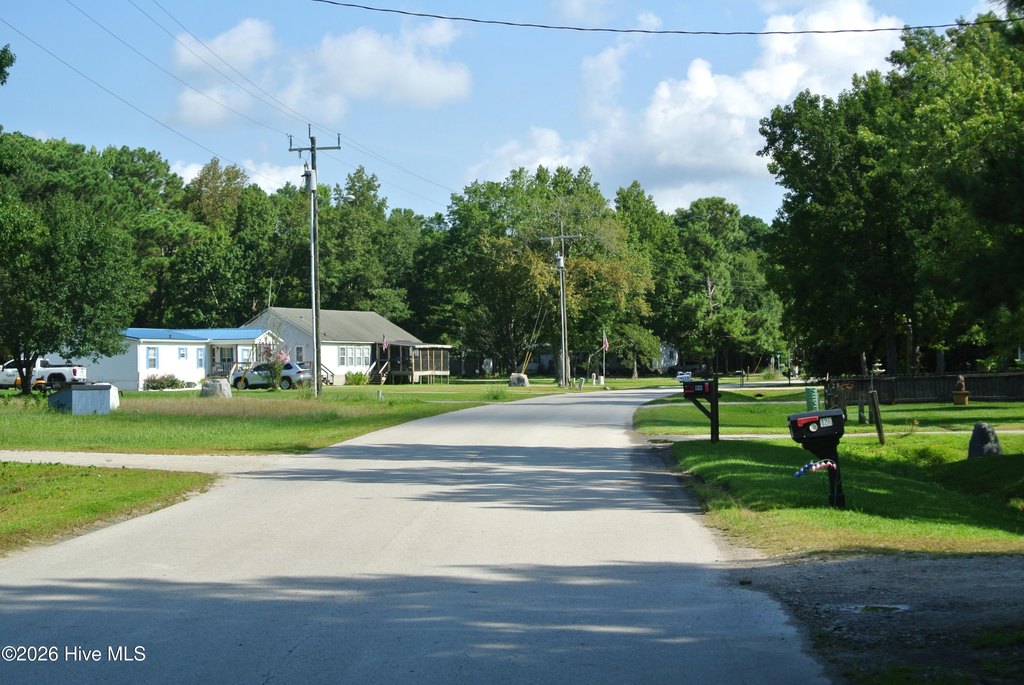 Picture 2
