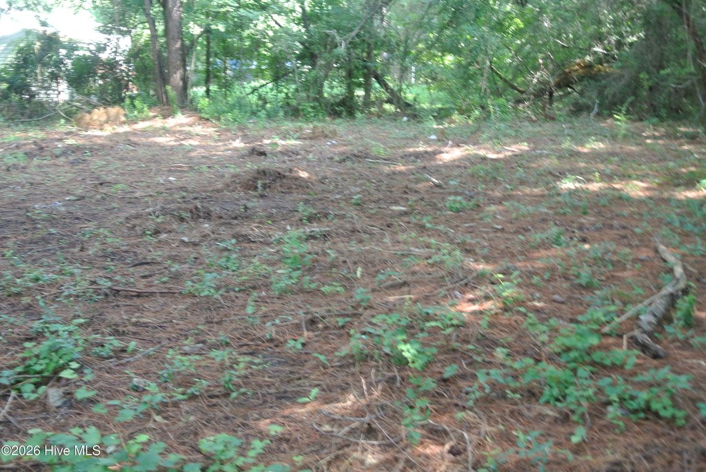 Picture 6