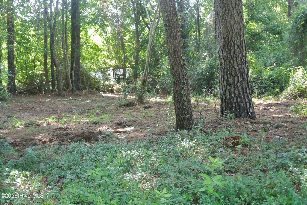 Picture 16