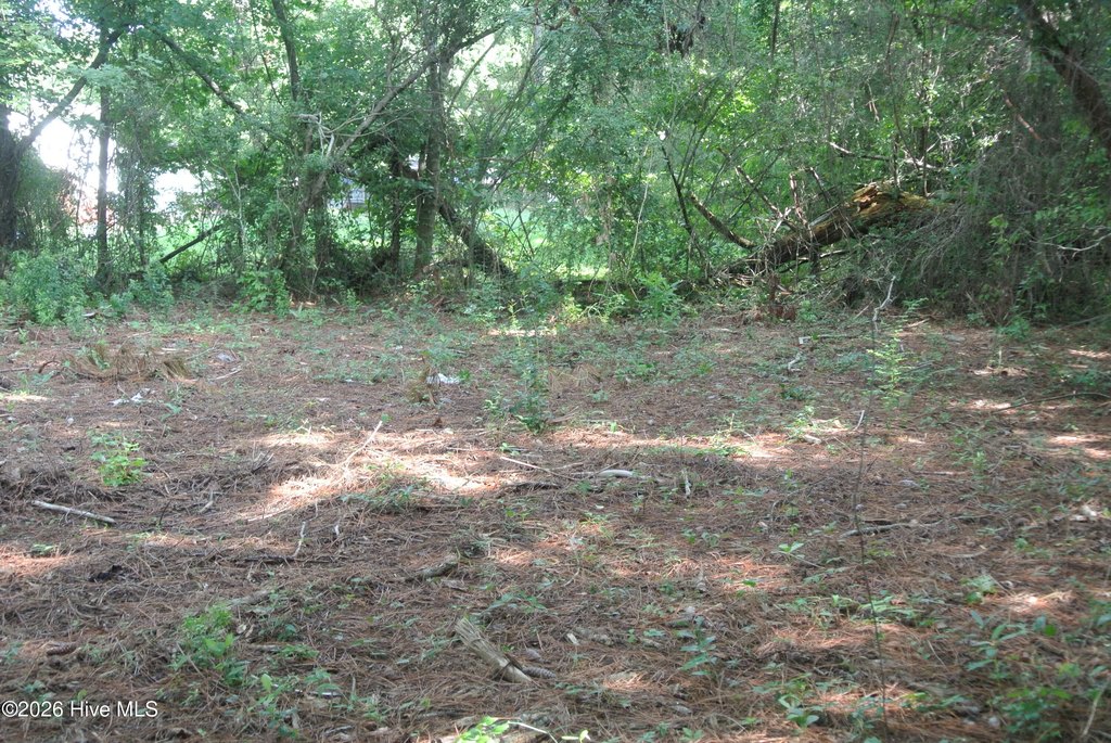 Picture 9