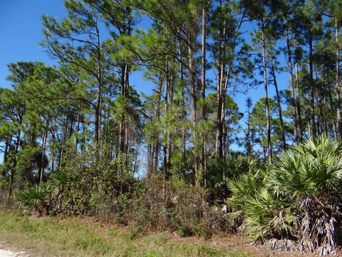 Land & Docks, The Acreage, FL