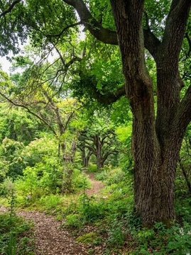 Lots/Land, Lumberton, MS