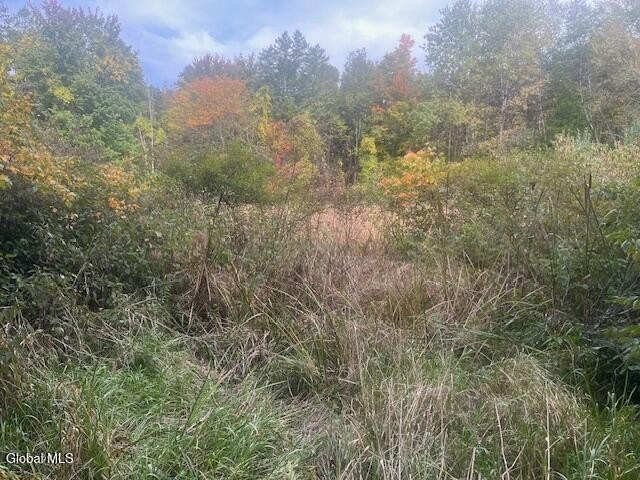 Picture 14