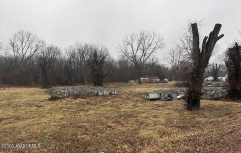 Land, New Bloomfield, MO