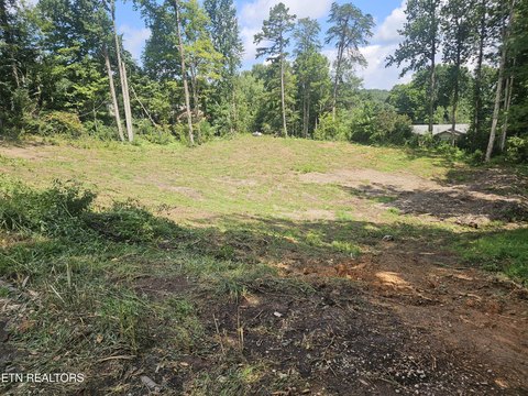 Lots & Acreage, Powell, TN