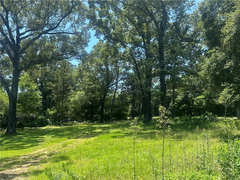 Residential Land in Mobile, AL