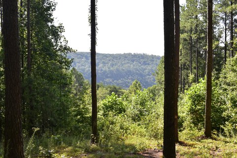 Guild, TN Mountain View Land