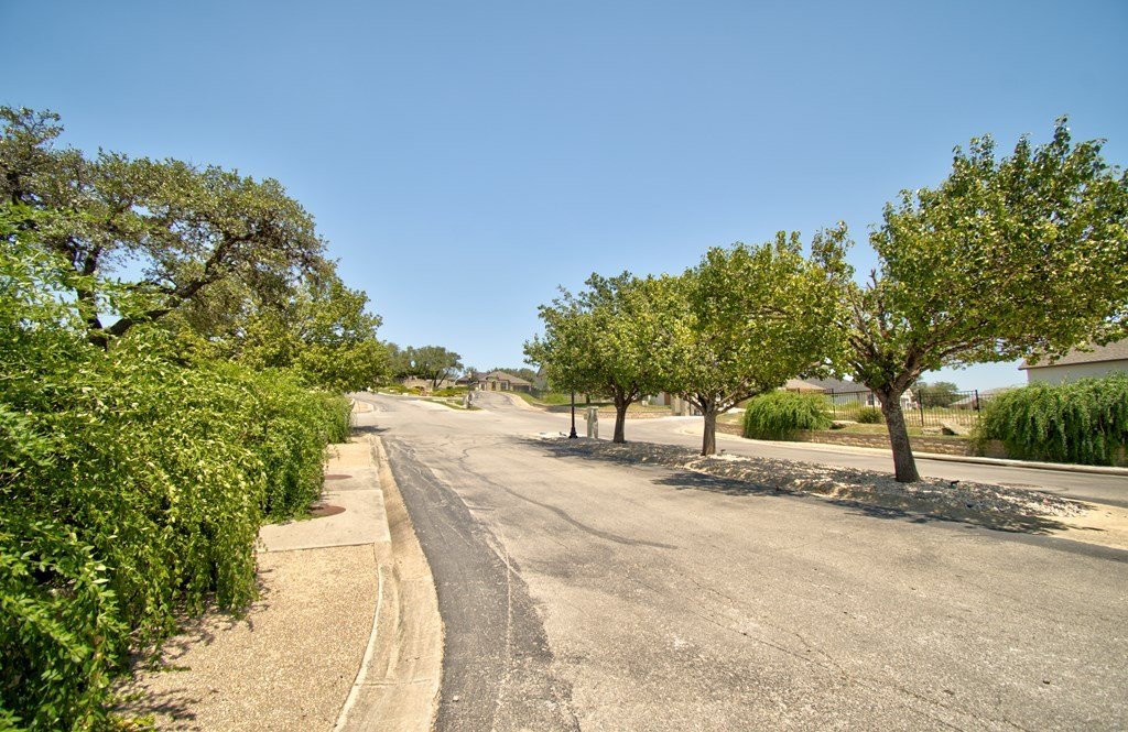 Picture 20