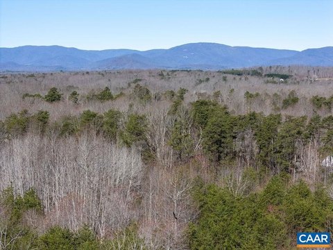 Wooded Preservation Land with Creek