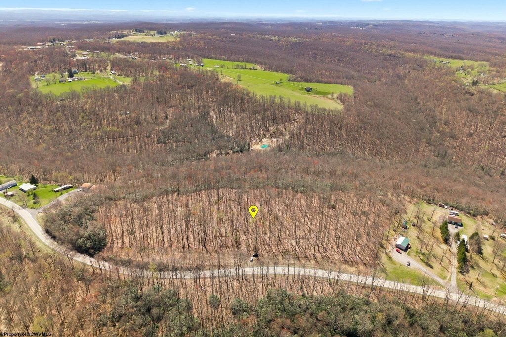 Picture 40